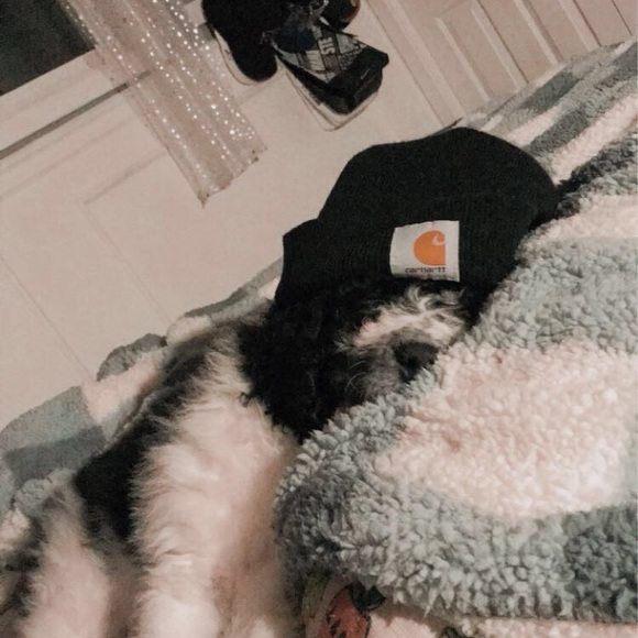 Meet your Posher, Mignon - Picture 1 of 1